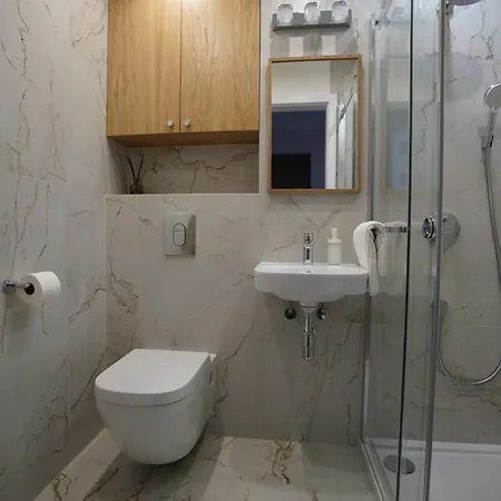 Gold 61 Apartment *
